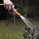 A hosepipe (Photo Illustration by Christopher Furlong/Getty Images)