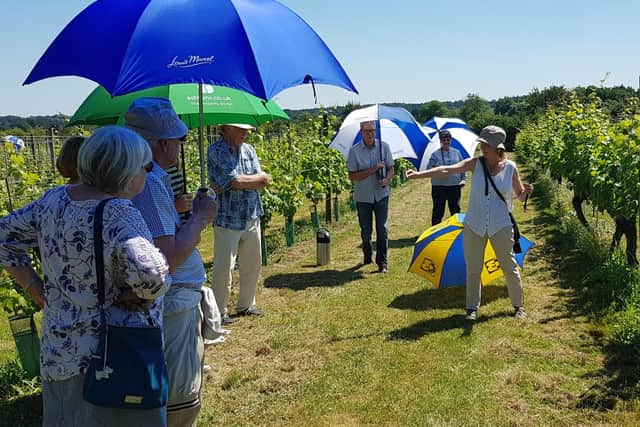 Visitors to Warden Abbey Vineyard are given a tour and a demonstration. The vineyard has been leased by Bedfordshire Rural Communities Charity since 2010 and has been developed as a unique resource for local people