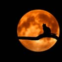 There's plenty of spooky fun this Halloween
