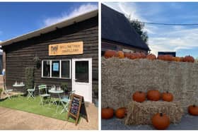 Halloween family fun at Sandy's Willow Tree Distillery and Franklin’s Farm Shop.