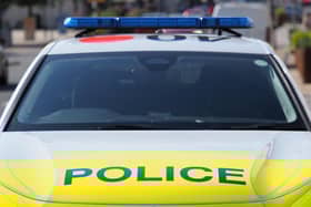 Police cars. Image: Tony Margiocchi.