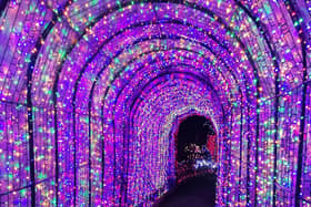 The display featured a stunning illuminated tunnel.