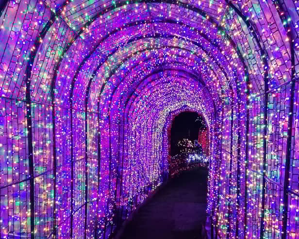 The display featured a stunning illuminated tunnel.