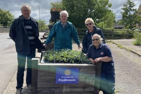 Planting summer bedding on Shortmead Bridge