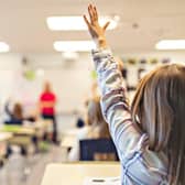 Pupil raises hand in a school classroom. (Pic credit: AdobeStock)