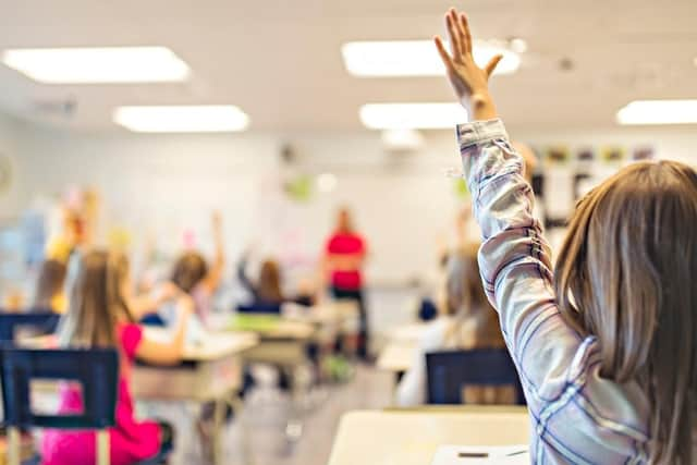 Pupil raises hand in a school classroom. (Pic credit: AdobeStock)