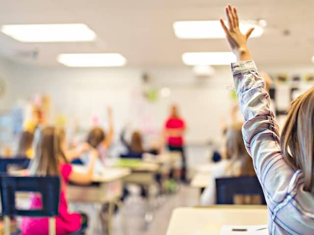 Pupil raises hand in a school classroom. (Pic credit: AdobeStock)