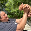 Olivia Mikhail is giving this advice to Biggleswade pig lovers - Animal News Agency