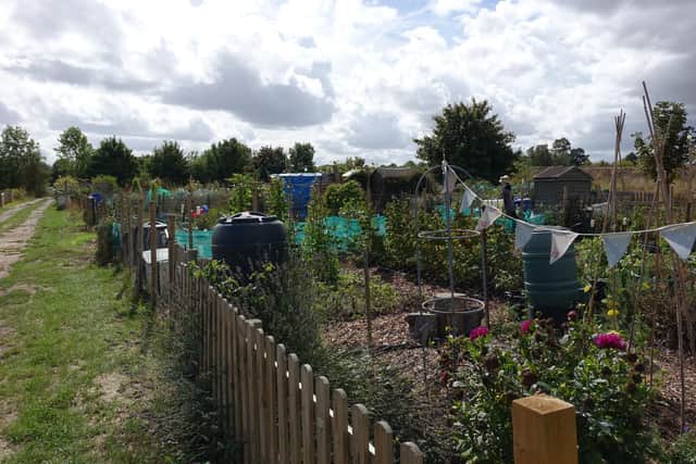 The allotments in Biggleswade. Credit: The Dunton resident.