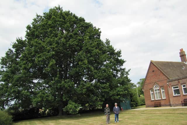 Stephen Gosling and Margaret Page (nee Beadle) in front of the tree they planted in 1953. Photo: Steve Cooney.