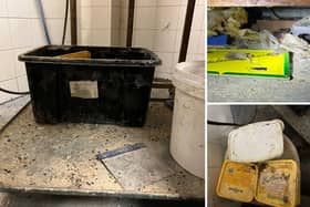 Dead mice and droppings were found at the Gunns Bakery warehouse