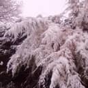 Sandy Town Council is getting ready for this winter's snow and ice
