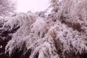 Sandy Town Council is getting ready for this winter's snow and ice