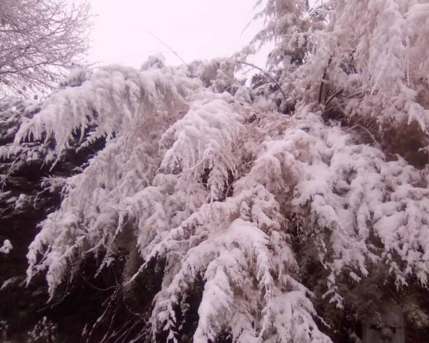 Sandy Town Council is getting ready for this winter's snow and ice