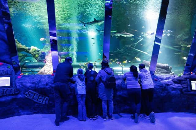 The Sea Life Centre in Great Yarmouth