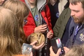 Pupils enjoying cuddles with the Armadillos.