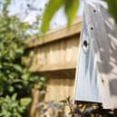 BG - The RSPB's Elegance Nest Box for various small birds