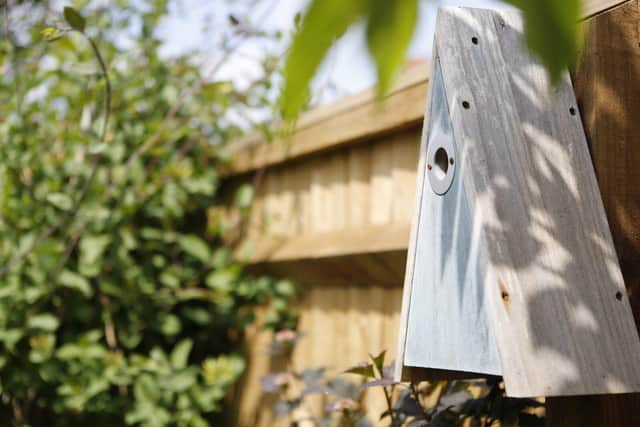 BG - The RSPB's Elegance Nest Box for various small birds