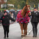 Samantha Wenn and Chester pictured proudly leading the Remembrance Day parade in Sandy