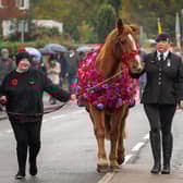 Samantha Wenn and Chester pictured proudly leading the Remembrance Day parade in Sandy