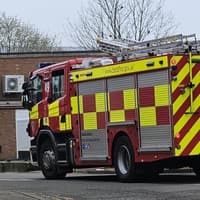 Biggleswade firefighters rescue fox stuck in metal fence