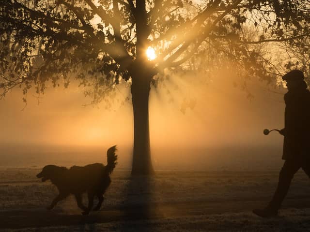 A man walks through fog as the sun rises.