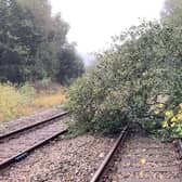 Fallen tree on tracks. Picture: Network Rail