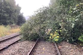 Fallen tree on tracks. Picture: Network Rail