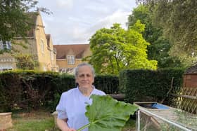 Green-fingered Sandra Galton. Photo: Sue Ryder St John's Hospice.