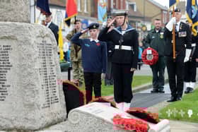 Remembrance Day 2024 in Biggleswade. Picture: June Essex