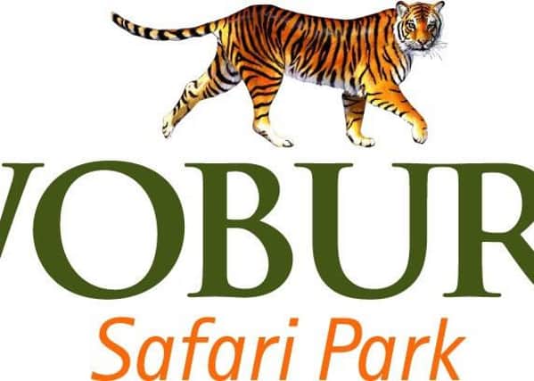 Woburn Safari Park PNL-141003-113122001