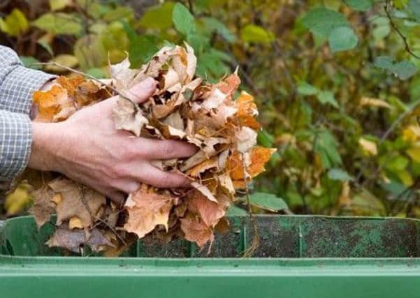 A Â£40 charge for garden waste is being looked at