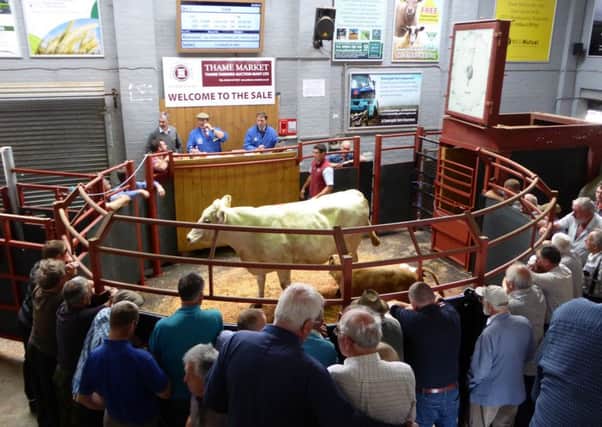 Thame Auction Market Copyright Heather Jan Brunt