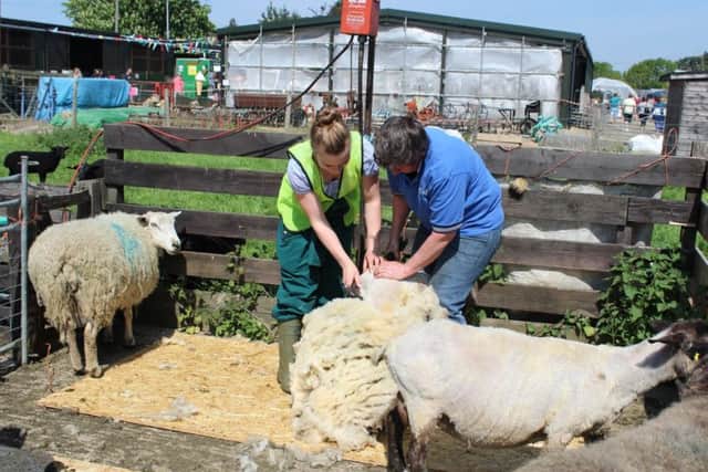 Stratton School Farm open day PNL-160517-123622001