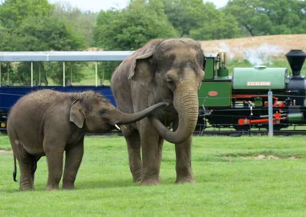 Whipsnade Zoo