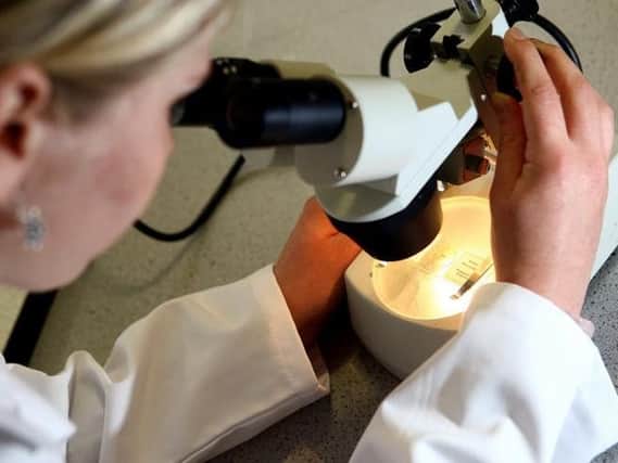 Cervical cancer could effectively be eliminated from the UK in around three decades, experts have claimed.