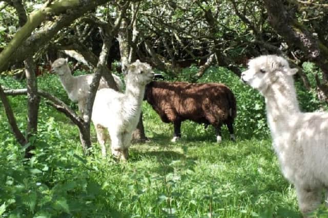 Stratton School Farm.