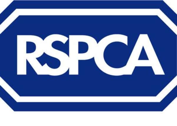 RSCPA logo ANL-141203-141723001