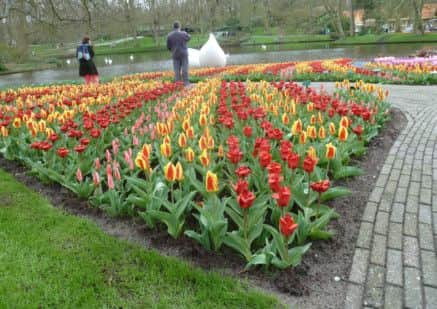Holland