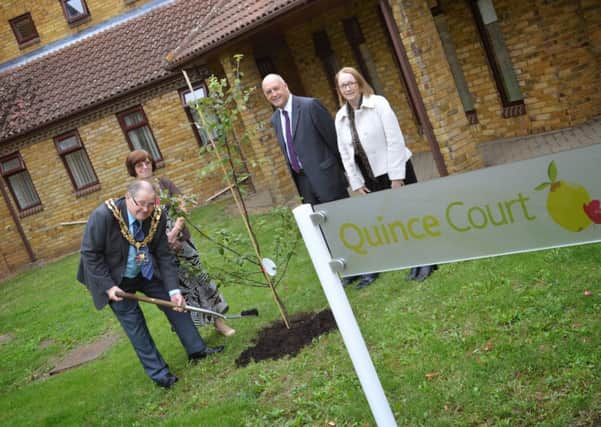 Sandy Mayor, Will Jackson, plants a tree at the opening of the refurbished Quince Court