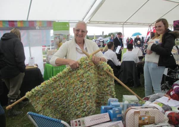 Meppershall Summer Fair - extreme knitting in the lifestyle marquee. PNL-150429-115227001
