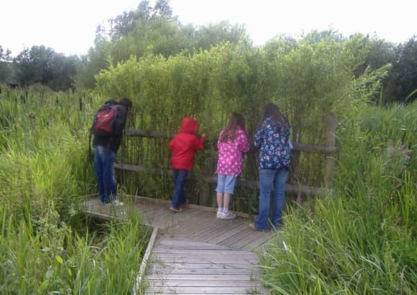 Children at the willow hide at Stotfold Watermill and Nature Reserve