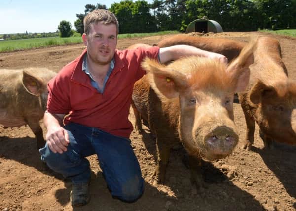 Nick Kiddy with some of the pigs at Solitaire Farm