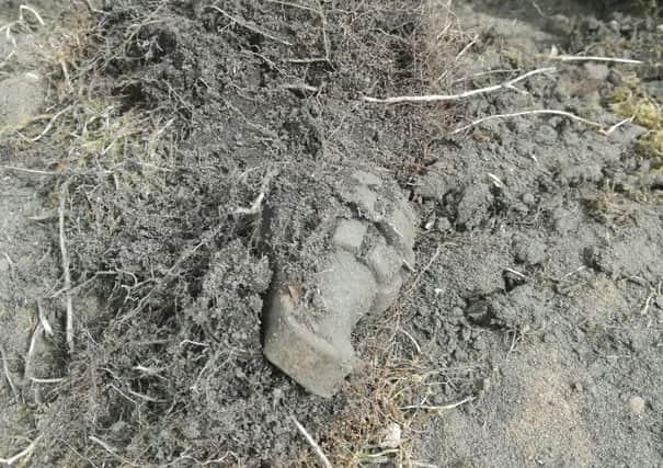 The grenade was found in the front garden of a house in Old Warden