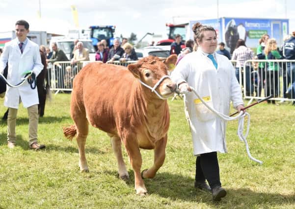 Bedfordshire Young Farmers 2015 show PNL-150518-121149001
