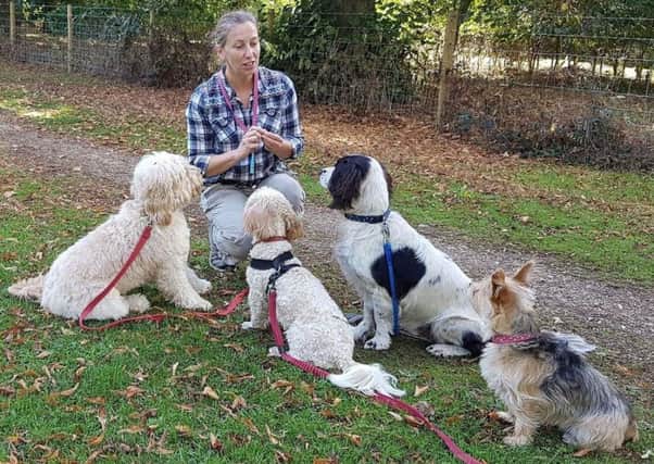 Denise Price with some of her canine students'