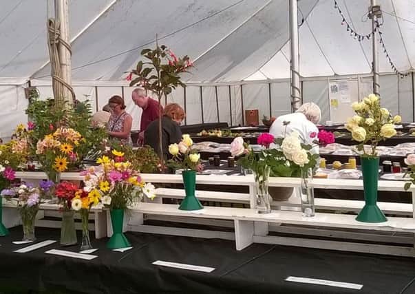 Potton Show