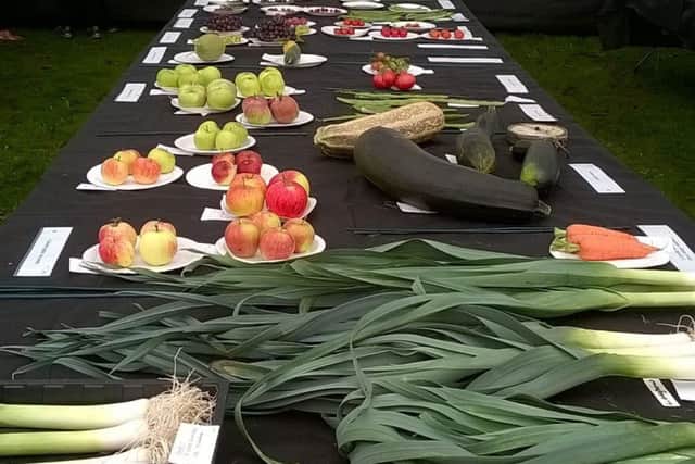 Potton Show